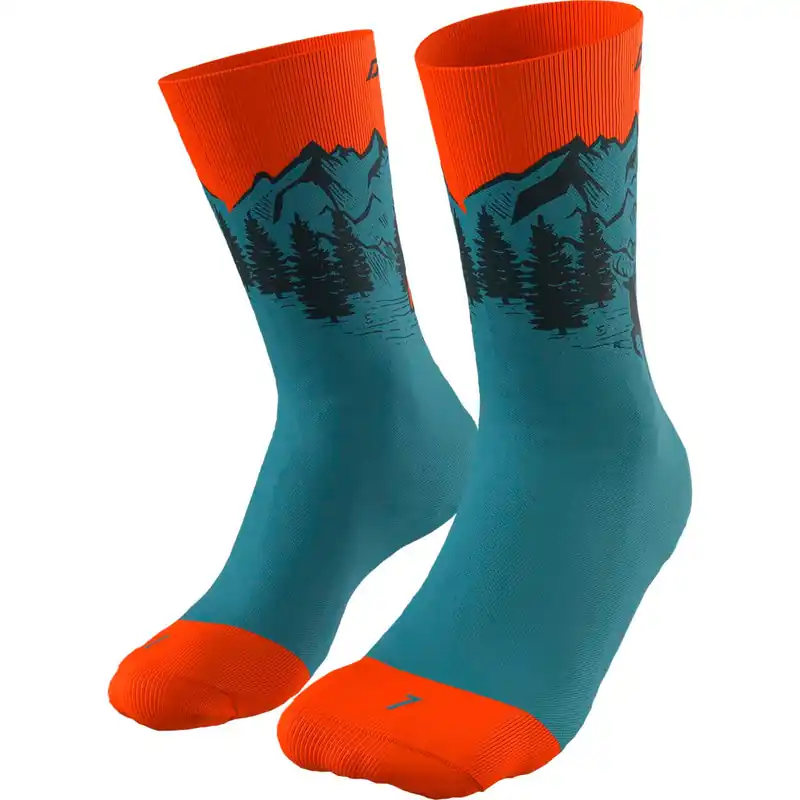 Online Kaufen Dynafit Stay Fast Socks - Storm Blue, 35-38