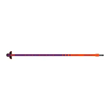 Beliebt Neil Pryde Windsurf Gabelbaum Carbon PRO 27 2026 - 160-220