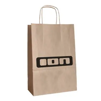 ION Paper Bag (50pcs) - L Expressversand